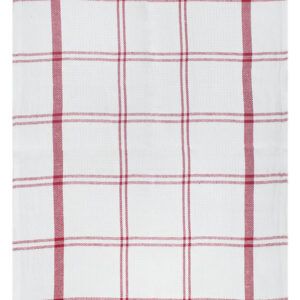 DISH CLOTH DC65 10'S