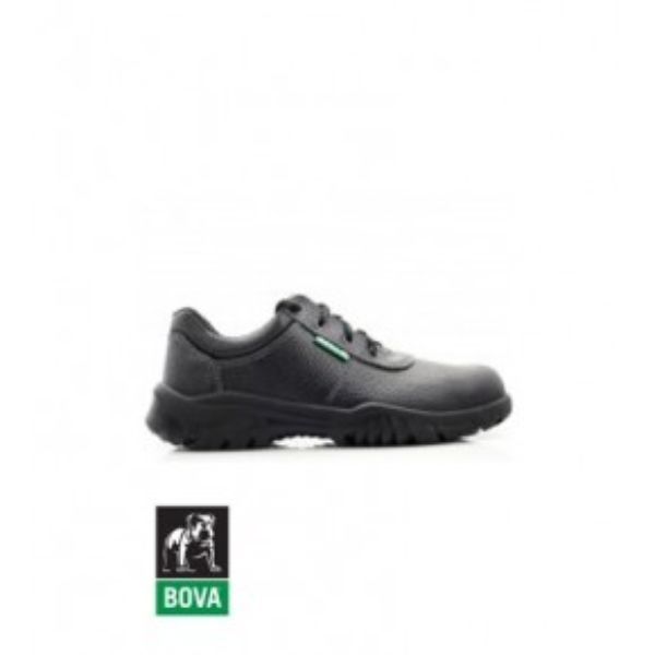 71-441.jpg Multi