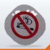 No Smoking Sign Plastic – Each