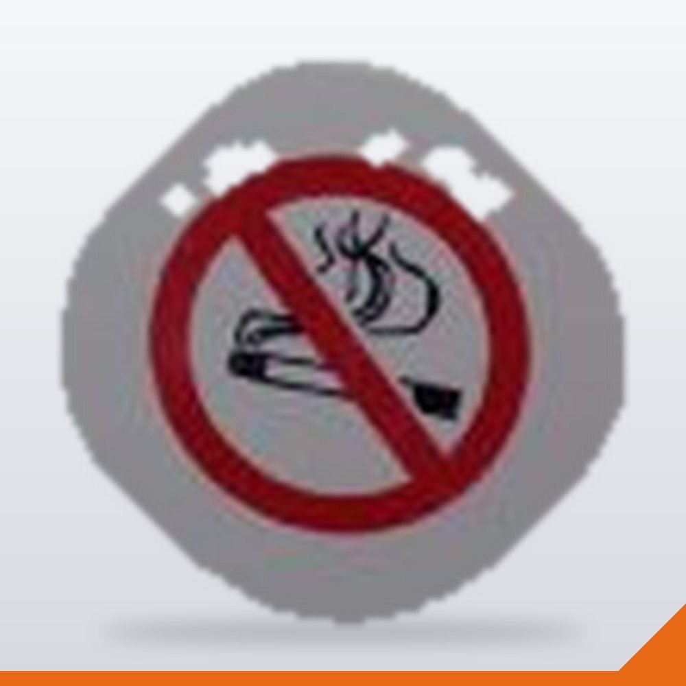 BAR-076 No Smoking Sign Plastic – Each