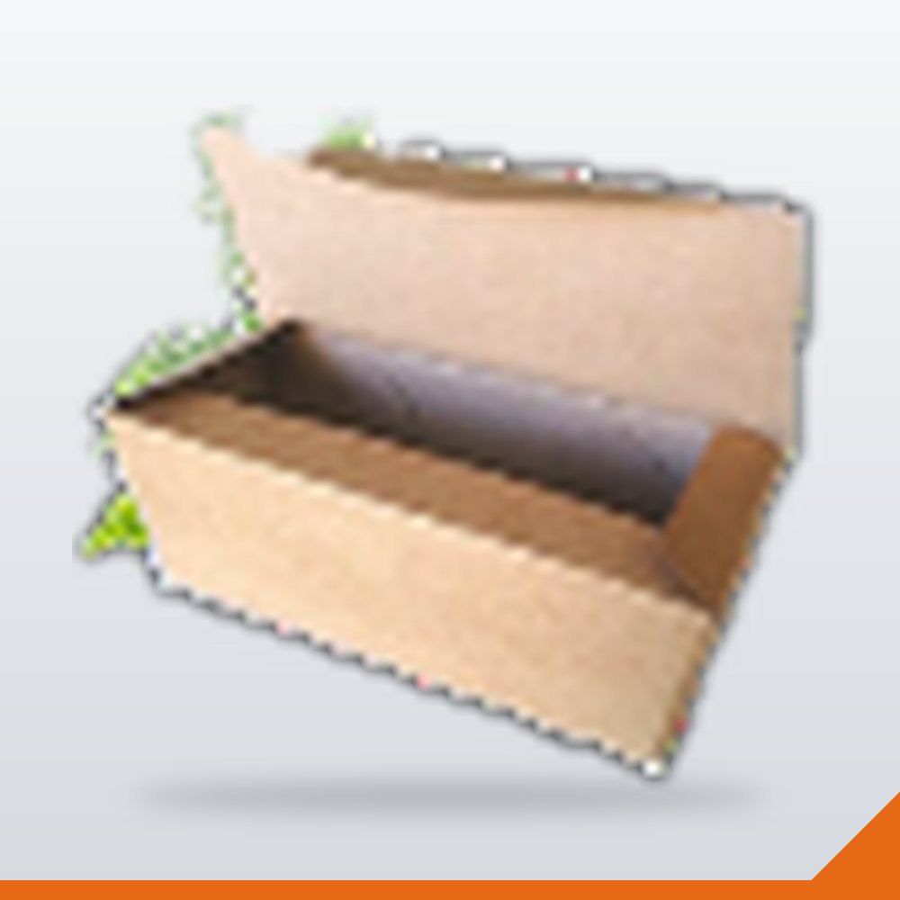 BOX-052-KFT-LARGE-P50 Hot Dog Box – Assorted, 195x80x70mm, 250/Pack