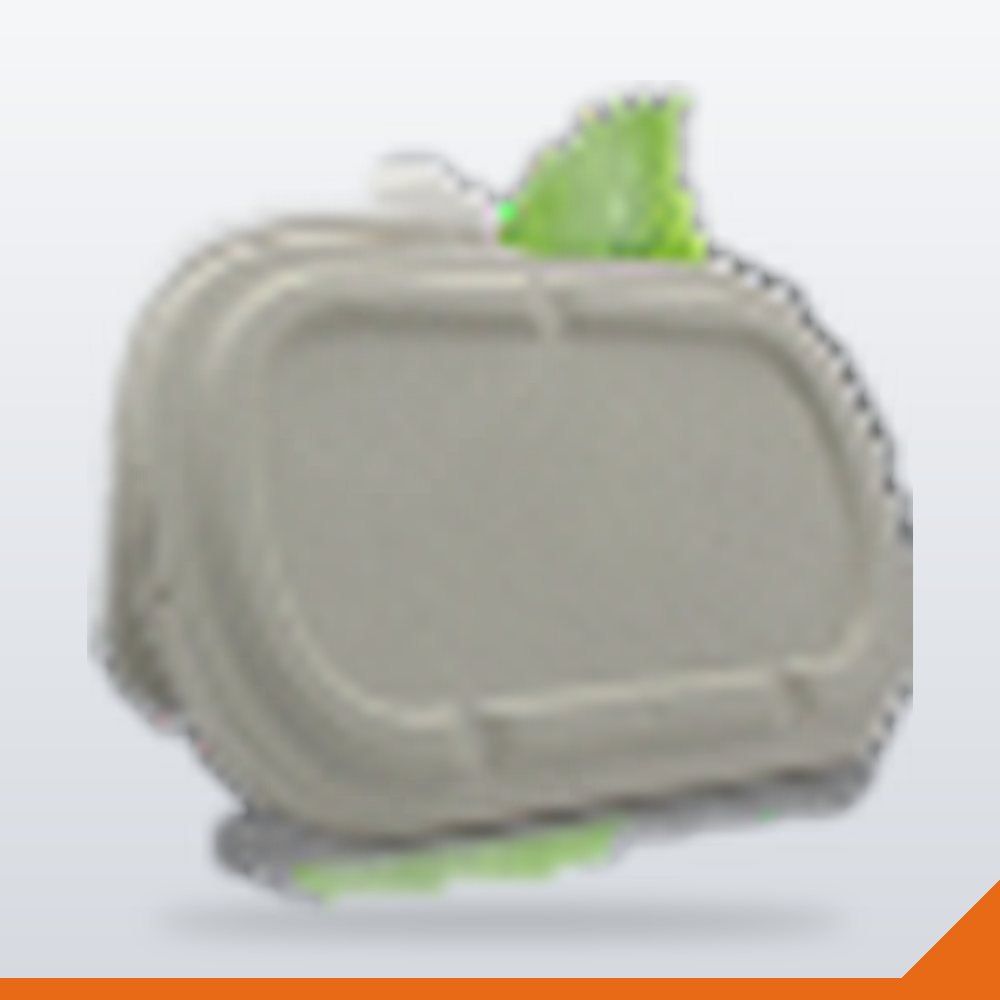 ECO-015-8501000ML Bagasse Container Lid – 850-1000ml – 50/Pack