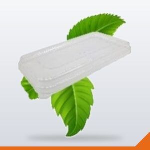 Bagasse Container Lid PET Rectangular – Clear, 1000ml