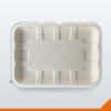 Bagasse Food Tray – 200x140x15mm