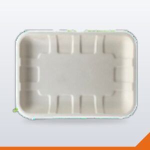 Bagasse Food Tray – 200x140x15mm