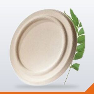 Bagasse Noodle Bowl Lid – 500ml – 50/Pack