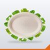 Bagasse Plate Oval – Small – 50/Pack