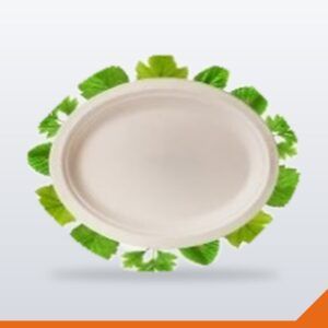 Bagasse Plate Oval – Small – 50/Pack