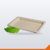 Bagasse Sushi Tray – Assorted, 165x117mm, 100/Pack