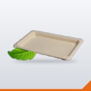 Bagasse Sushi Tray – Assorted, 165x117mm, 100/Pack