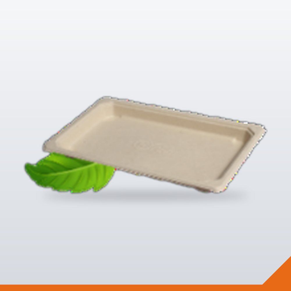 ECO-037-AST-165X117 Bagasse Sushi Tray – Assorted, 165x117mm, 100/Pack