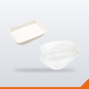 Meal Container Bagasse Deli – Assorted, 950ml