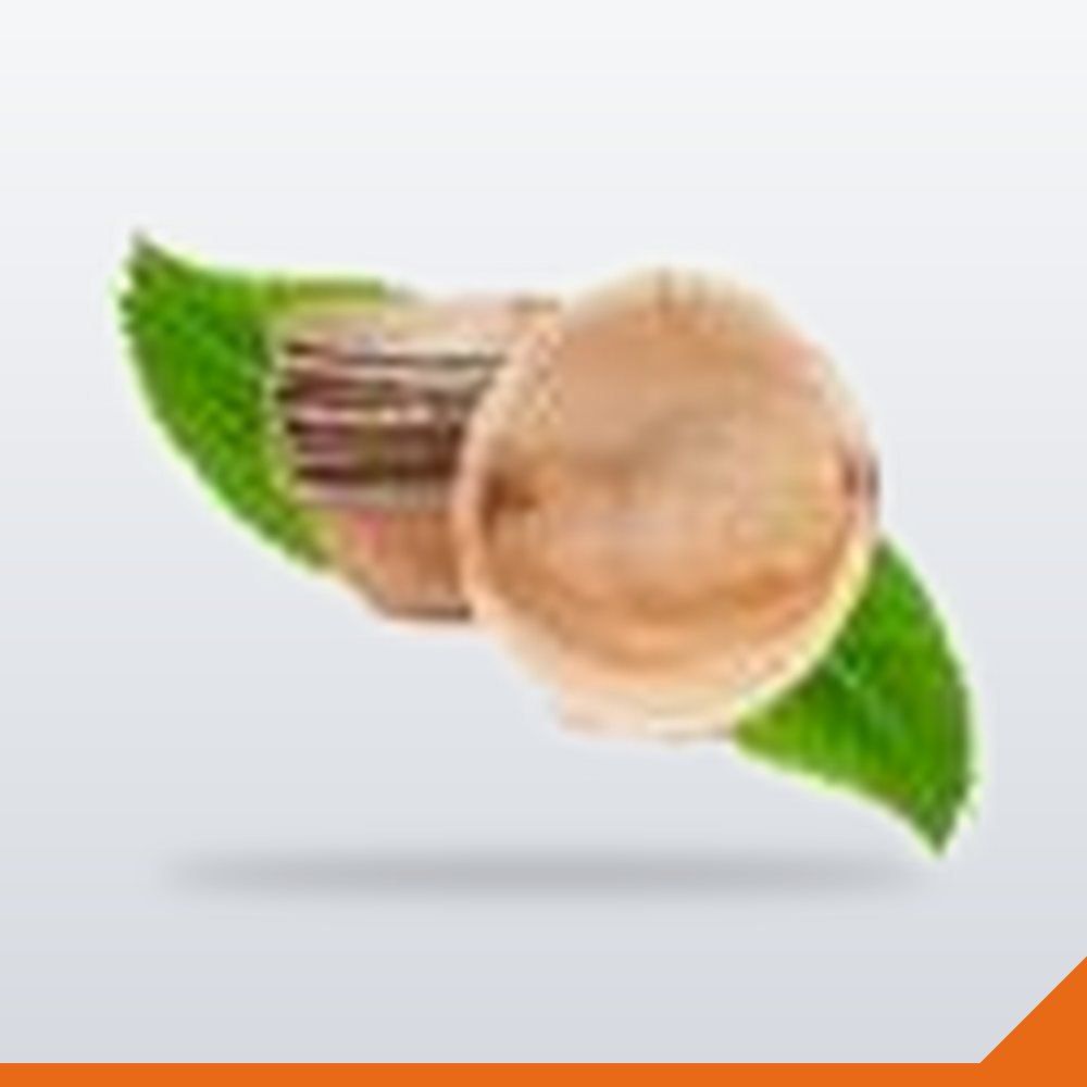 ECO-089-150 Palm Leaf Bowl Round Deep – 150mm – 8/Pack