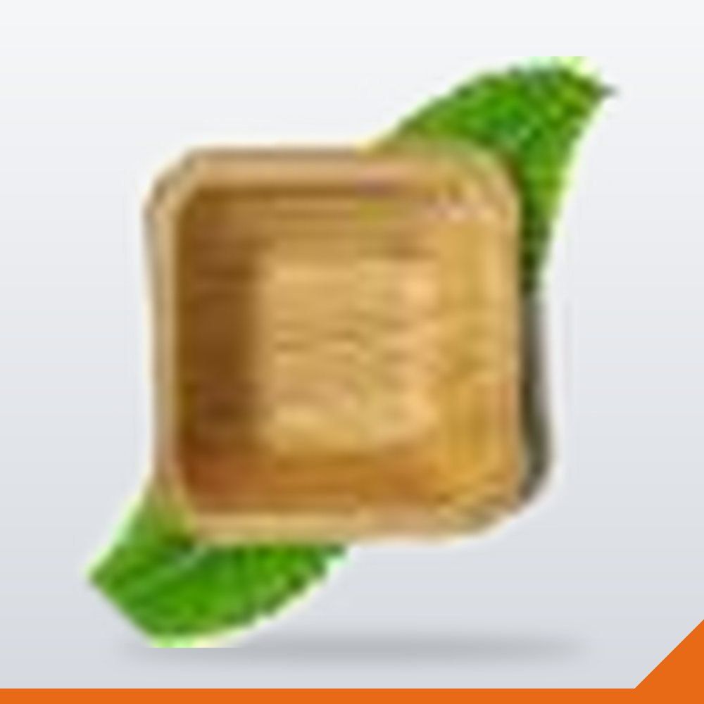 ECO-090-100 Palm Leaf Bowl Square – 100mm, 8/Pack