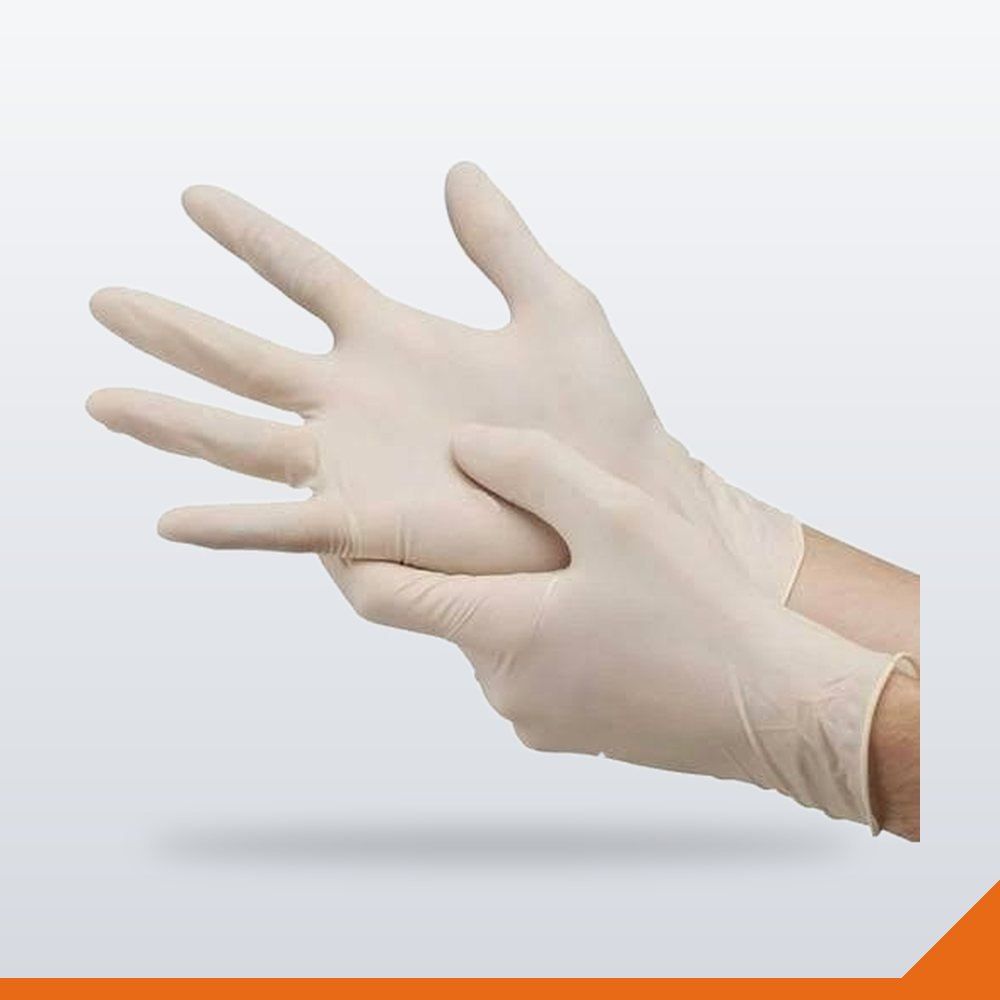 GLV-017C-L Latex Gloves Powder-Free (Case) – L