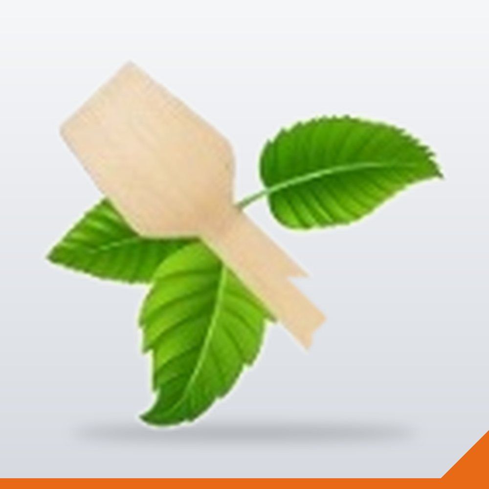 ICE-006-70 Ice Cream Paddle Wooden Square – 70mm – 100/Pack