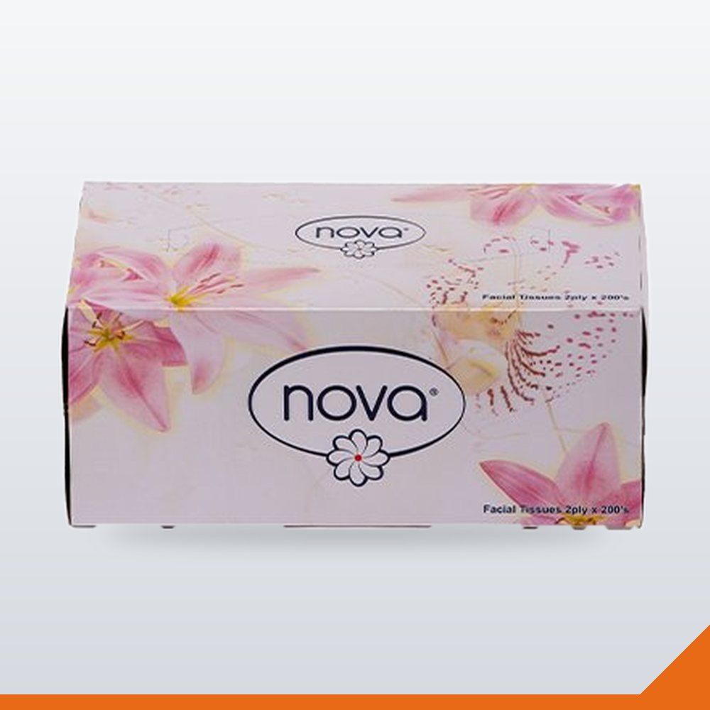 PPR-005 Facial Tissues 2-Ply – 200/Box
