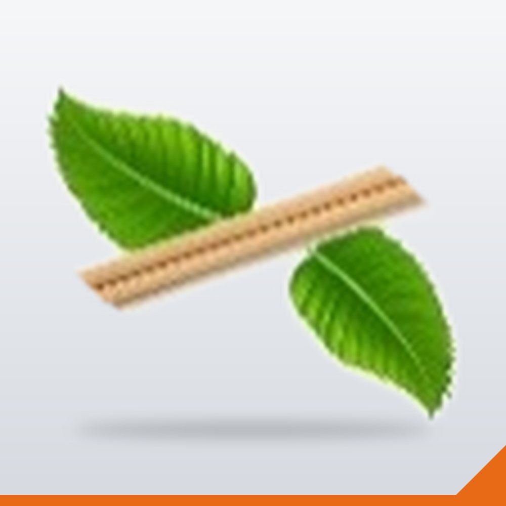 STR-008-230 Chopsticks – 230mm – 100/Pack